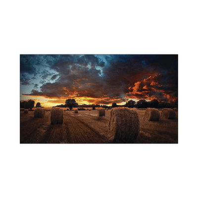 Pantalla Profesional de 46" para Video Wall, Full HD (1080p), HDMI/DVI-D, Bisel Ultra Delgado de 2.25mm. Compatible VESA