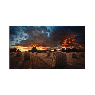Pantalla Profesional LED de 55" para Video Wall, Full HD (1080p), HDMI/DVI-D/DP, Bisel Ultra Delgado de 2.3mm. Compatible VESA 600x400